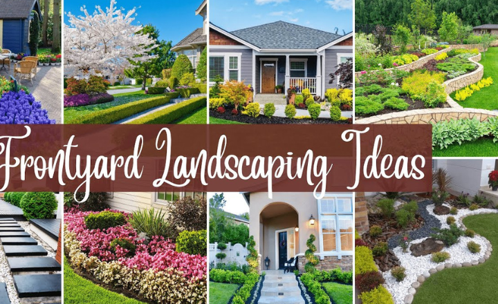Cheap and Simple Front Yard Landscaping Ideas in 2024